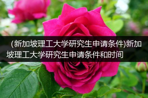 （新加坡理工大学研究生申请条件)新加坡理工大学研究生申请条件和时间