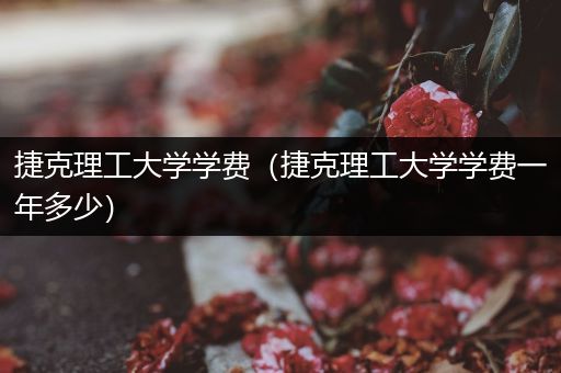 捷克理工大学学费（捷克理工大学学费一年多少）