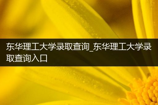 东华理工大学录取查询_东华理工大学录取查询入口