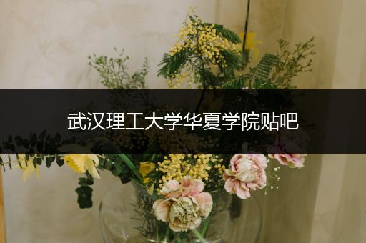 武汉理工大学华夏学院贴吧