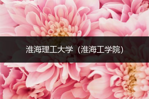 淮海理工大学（淮海工学院）