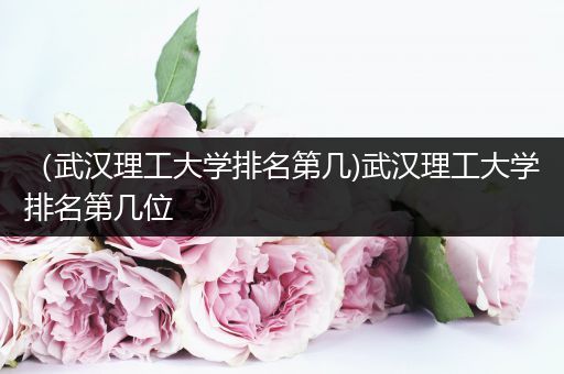 （武汉理工大学排名第几)武汉理工大学排名第几位