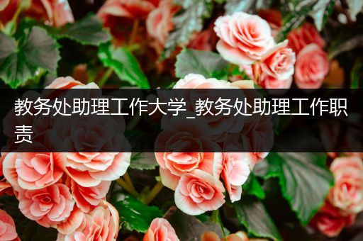 教务处助理工作大学_教务处助理工作职责