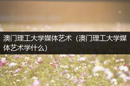 澳门理工大学媒体艺术（澳门理工大学媒体艺术学什么）