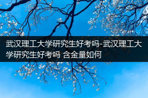 武汉理工大学研究生好考吗-武汉理工大学研究生好考吗 含金量如何