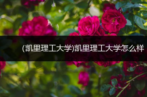 （凯里理工大学)凯里理工大学怎么样