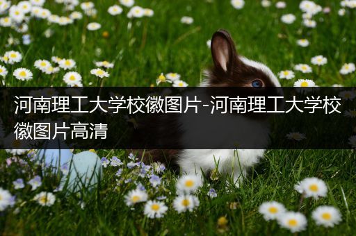 河南理工大学校徽图片-河南理工大学校徽图片高清