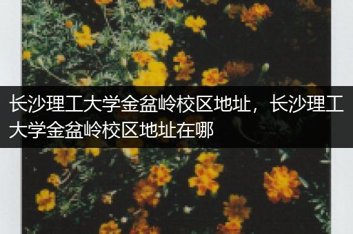 长沙理工大学金盆岭校区地址，长沙理工大学金盆岭校区地址在哪
