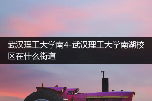 武汉理工大学南4-武汉理工大学南湖校区在什么街道