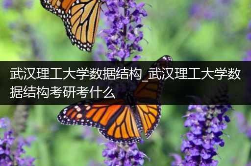 武汉理工大学数据结构_武汉理工大学数据结构考研考什么
