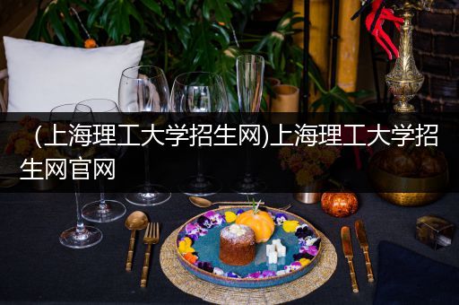 （上海理工大学招生网)上海理工大学招生网官网