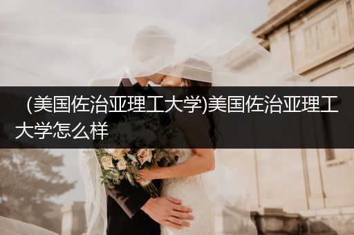 （美国佐治亚理工大学)美国佐治亚理工大学怎么样