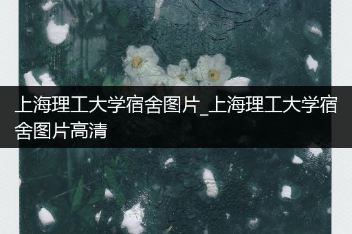 上海理工大学宿舍图片_上海理工大学宿舍图片高清