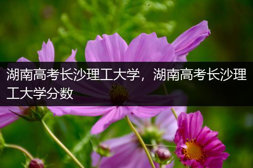 湖南高考长沙理工大学，湖南高考长沙理工大学分数