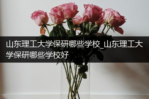 山东理工大学保研哪些学校_山东理工大学保研哪些学校好