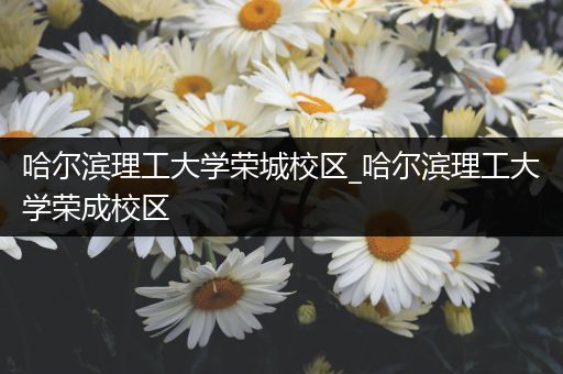 哈尔滨理工大学荣城校区_哈尔滨理工大学荣成校区