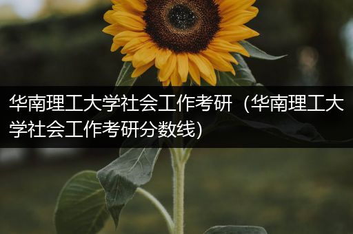 华南理工大学社会工作考研（华南理工大学社会工作考研分数线）
