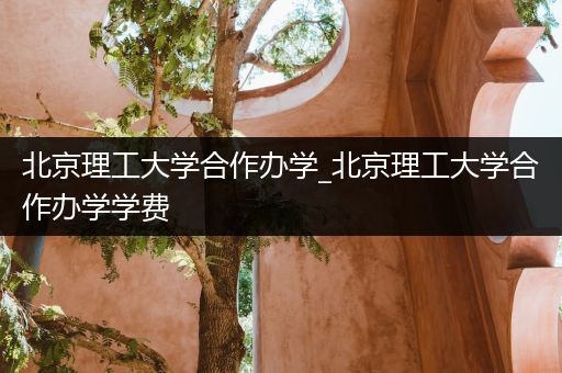 北京理工大学合作办学_北京理工大学合作办学学费
