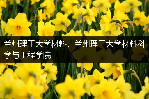 兰州理工大学材料，兰州理工大学材料科学与工程学院