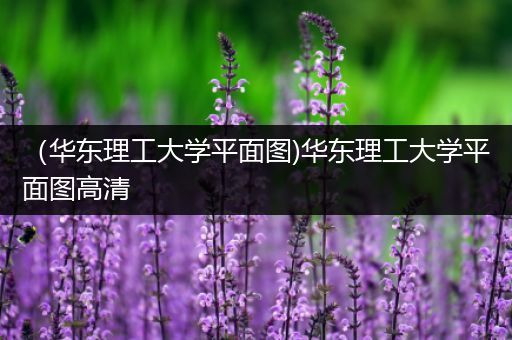 （华东理工大学平面图)华东理工大学平面图高清