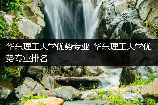 华东理工大学优势专业-华东理工大学优势专业排名