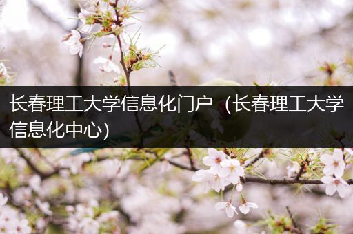 长春理工大学信息化门户（长春理工大学信息化中心）