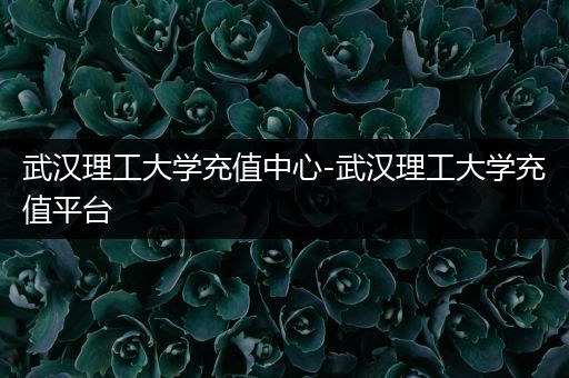 武汉理工大学充值中心-武汉理工大学充值平台