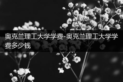 奥克兰理工大学学费-奥克兰理工大学学费多少钱