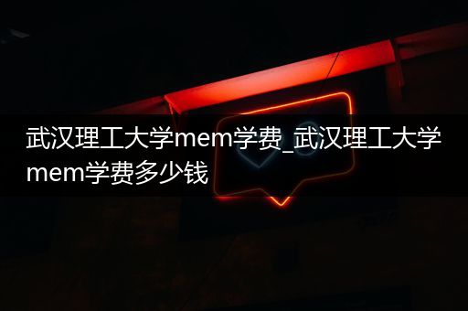 武汉理工大学mem学费_武汉理工大学mem学费多少钱