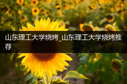 山东理工大学烧烤_山东理工大学烧烤推荐