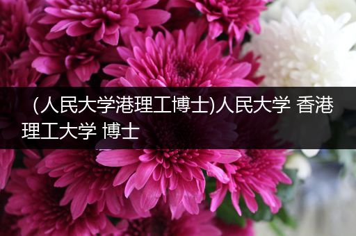 （人民大学港理工博士)人民大学 香港理工大学 博士