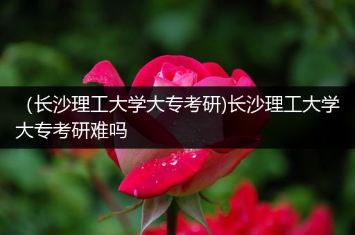 （长沙理工大学大专考研)长沙理工大学大专考研难吗