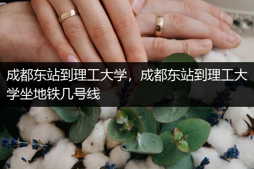 成都东站到理工大学，成都东站到理工大学坐地铁几号线