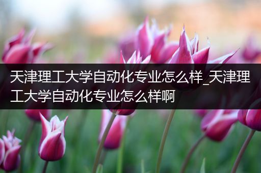 天津理工大学自动化专业怎么样_天津理工大学自动化专业怎么样啊