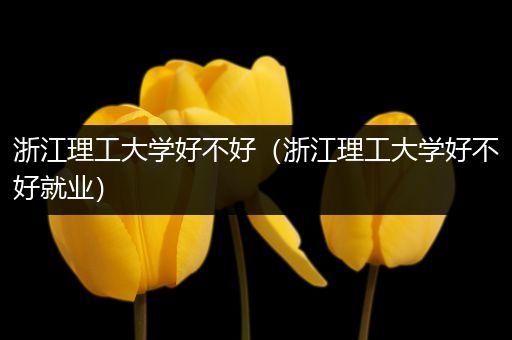 浙江理工大学好不好（浙江理工大学好不好就业）