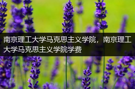 南京理工大学马克思主义学院，南京理工大学马克思主义学院学费