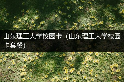 山东理工大学校园卡（山东理工大学校园卡套餐）