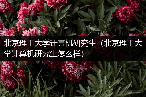 北京理工大学计算机研究生（北京理工大学计算机研究生怎么样）
