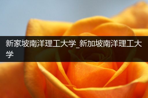 新家坡南洋理工大学_新加坡南洋理工大学