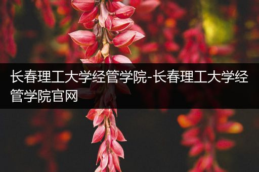 长春理工大学经管学院-长春理工大学经管学院官网