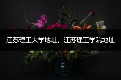 江苏理工大学地址，江苏理工学院地址