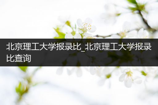 北京理工大学报录比_北京理工大学报录比查询