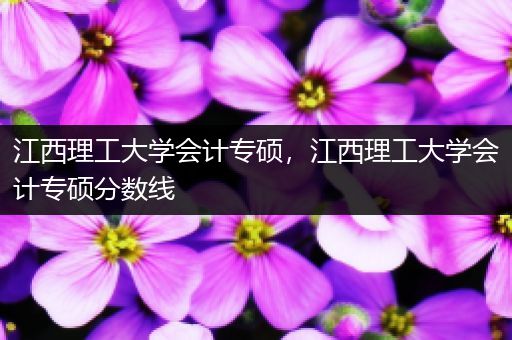 江西理工大学会计专硕，江西理工大学会计专硕分数线
