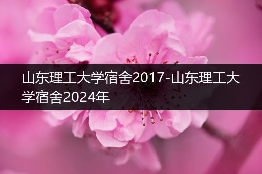 山东理工大学宿舍2017-山东理工大学宿舍2024年