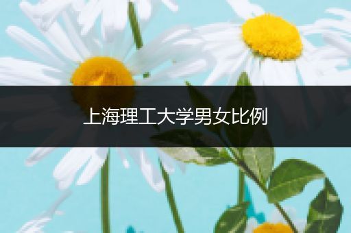 上海理工大学男女比例