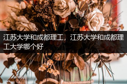 江苏大学和成都理工，江苏大学和成都理工大学哪个好