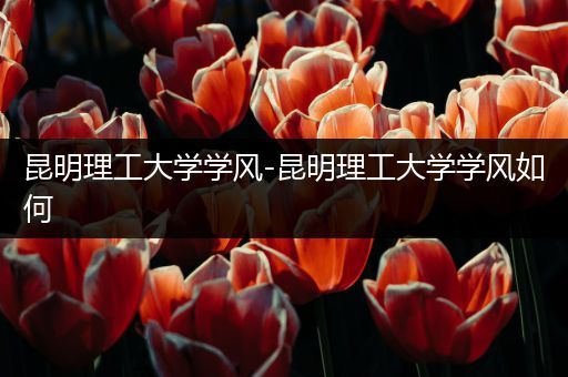 昆明理工大学学风-昆明理工大学学风如何
