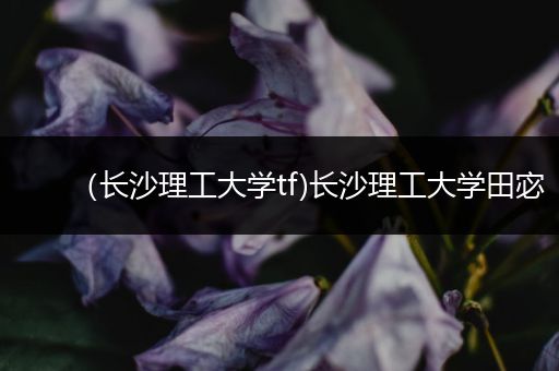 （长沙理工大学tf)长沙理工大学田宓