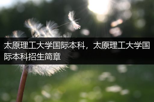 太原理工大学国际本科，太原理工大学国际本科招生简章