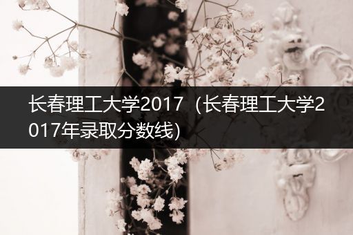 长春理工大学2017（长春理工大学2017年录取分数线）